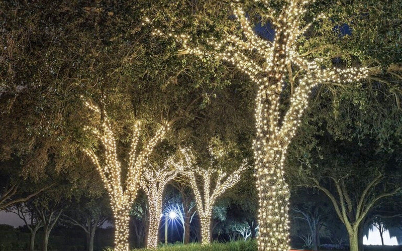 Tree Lighting
